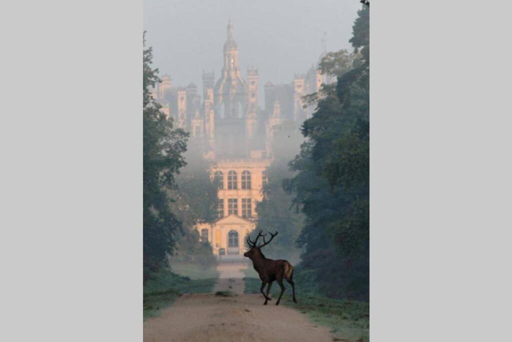 Les Bruyères de Jeanne et René Zoo de Beauval à 20min,Châteaux TOUT INCLUS Fontguenand Extérieur photo