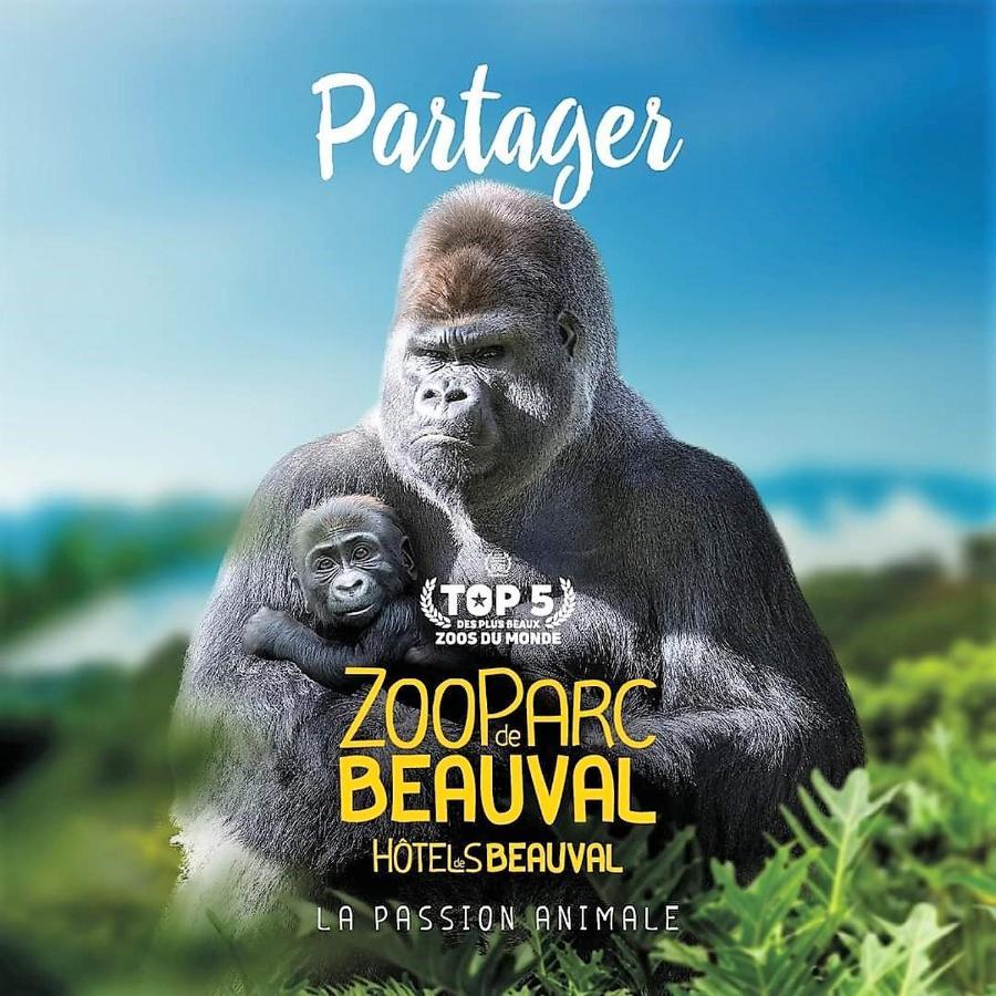 Les Bruyères de Jeanne et René Zoo de Beauval à 20min,Châteaux TOUT INCLUS Fontguenand Extérieur photo
