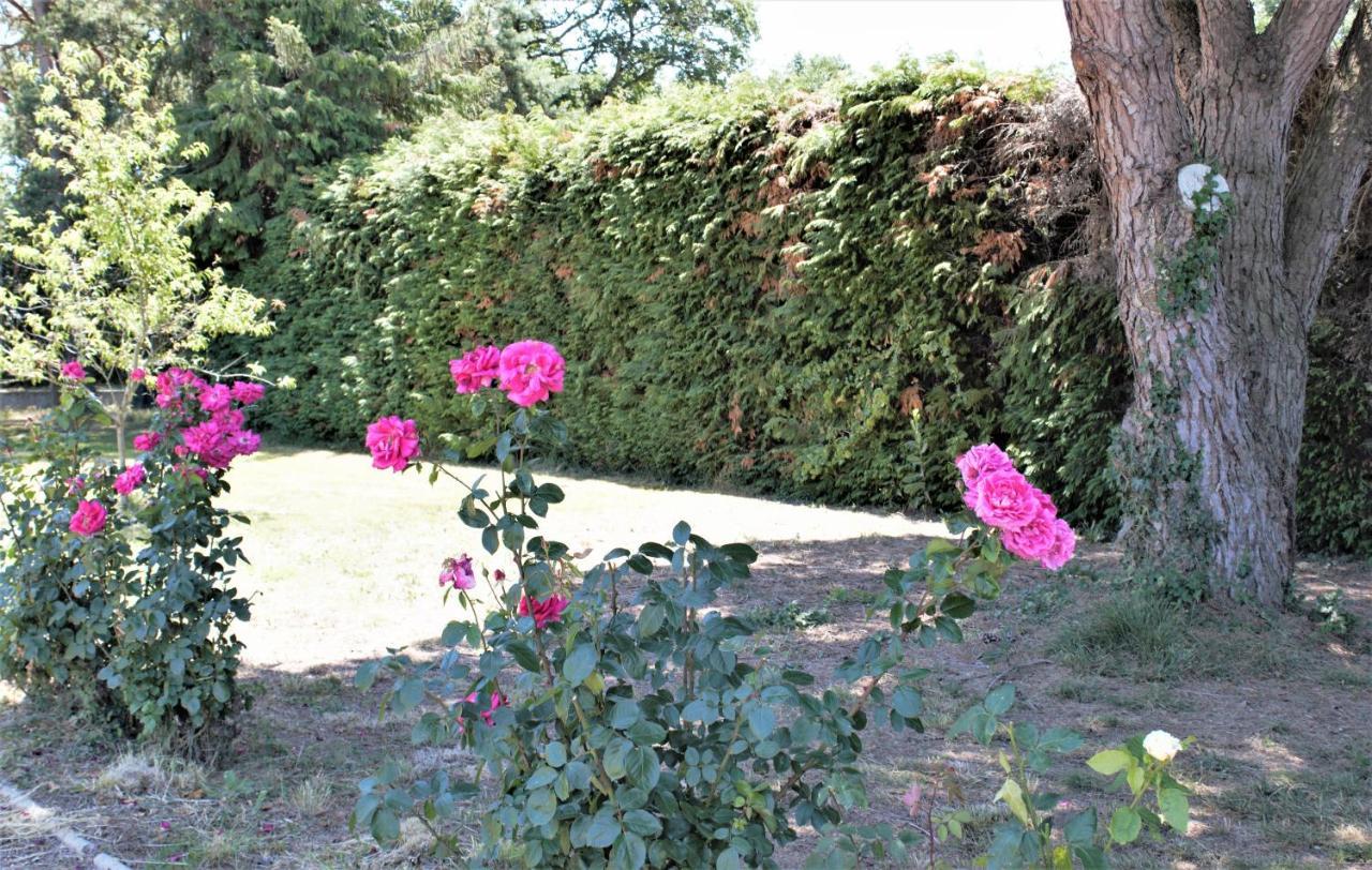 Les Bruyères de Jeanne et René Zoo de Beauval à 20min,Châteaux TOUT INCLUS Fontguenand Extérieur photo
